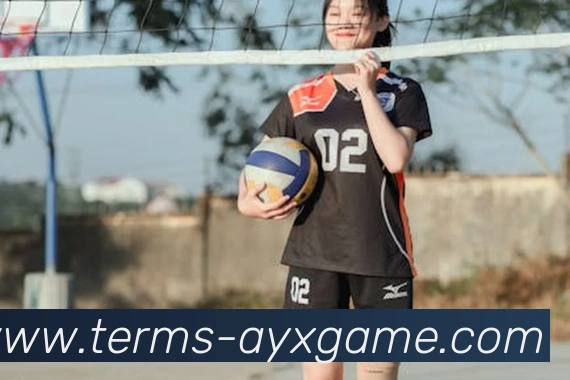 爱游戏平台生态图